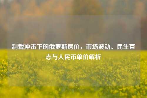 制裁冲击下的俄罗斯房价，市场波动、民生百态与人民币单价解析