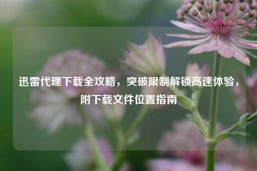 迅雷代理下载全攻略,突破限制解锁高速体验,附下载文件位置指南