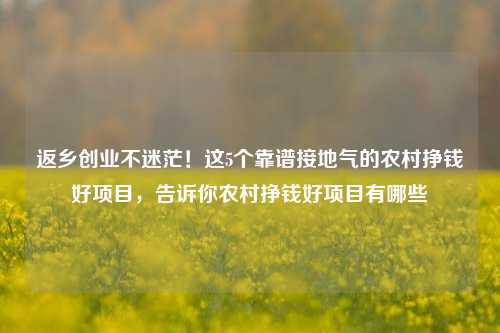 返乡创业不迷茫！这5个靠谱接地气的农村挣钱好项目，告诉你农村挣钱好项目有哪些
