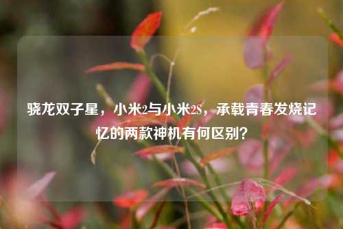 骁龙双子星,小米2与小米2S,承载青春发烧记忆的两款神机有何区别?
