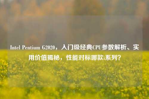Intel Pentium G2020,入门级经典CPU参数解析、实用价值揭秘,性能对标哪款i系列?