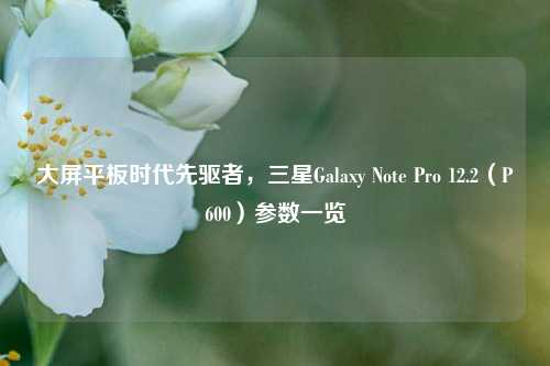大屏平板时代先驱者,三星Galaxy Note Pro 12.2(P600)参数一览