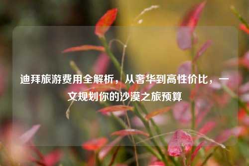 迪拜旅游费用全解析，从奢华到高性价比，一文规划你的沙漠之旅预算