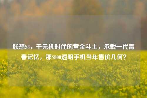 联想S8,千元机时代的黄金斗士,承载一代青春记忆,那S800透明手机当年售价几何?