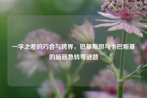 一字之差的巧合与跨界,巴基斯坦与卡巴斯基的脑筋急转弯谜题