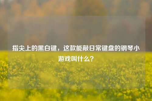 指尖上的黑白键,这款能敲日常键盘的钢琴小游戏叫什么?