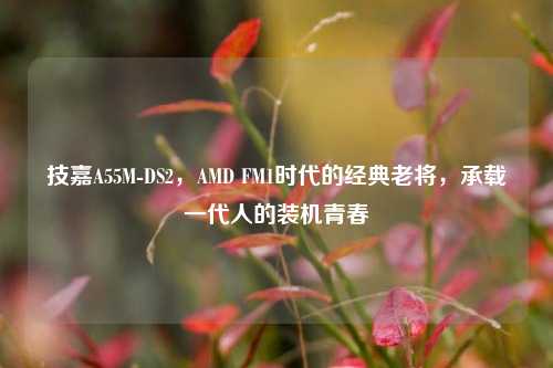 技嘉A55M-DS2,AMD FM1时代的经典老将,承载一代人的装机青春