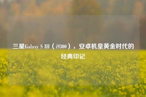 三星Galaxy S III（i9300），安卓机皇黄金时代的经典印记