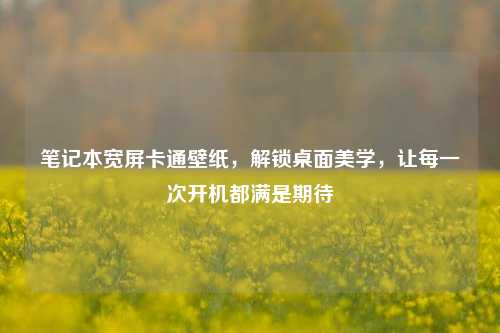 笔记本宽屏卡通壁纸,解锁桌面美学,让每一次开机都满是期待