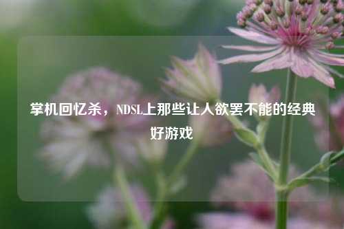 掌机回忆杀，NDSL上那些让人欲罢不能的经典好游戏