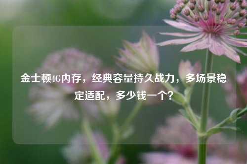 金士顿4G内存,经典容量持久战力,多场景稳定适配,多少钱一个?