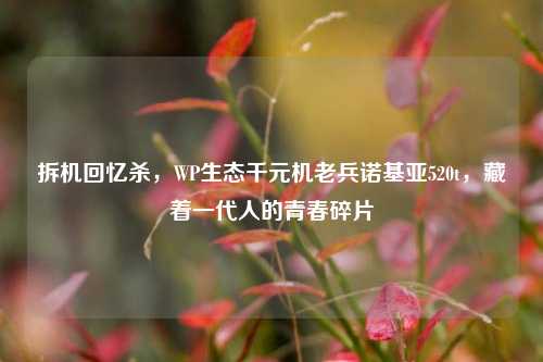 拆机回忆杀,WP生态千元机老兵诺基亚520t,藏着一代人的青春碎片