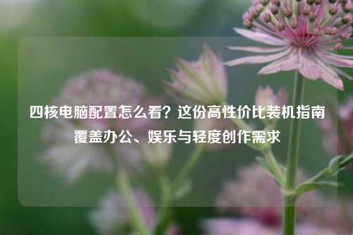 四核电脑配置怎么看？这份高性价比装机指南覆盖办公、娱乐与轻度创作需求