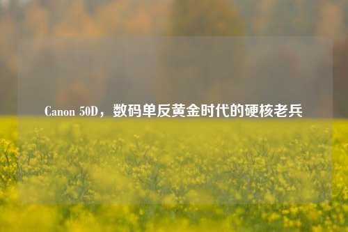 Canon 50D,数码单反黄金时代的硬核老兵