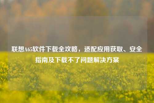 联想A65软件下载全攻略，适配应用获取、安全指南及下载不了问题解决方案