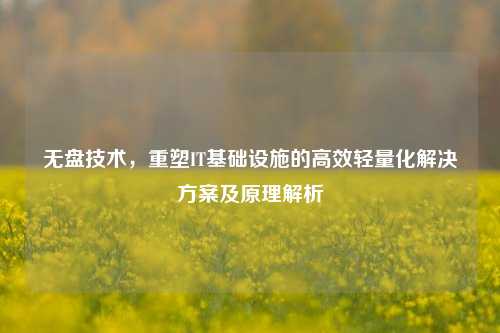 无盘技术,重塑IT基础设施的高效轻量化解决方案及原理解析