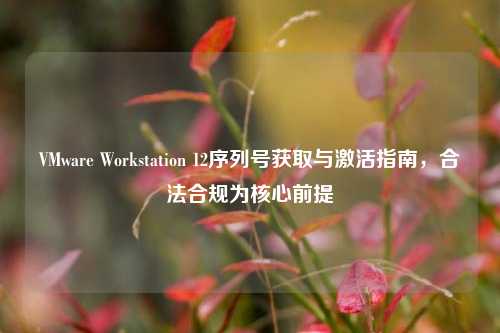 VMware Workstation 12序列号获取与激活指南,合法合规为核心前提