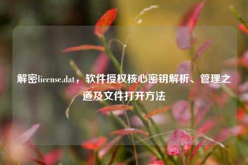 解密license.dat,软件授权核心密钥解析、管理之道及文件打开方法