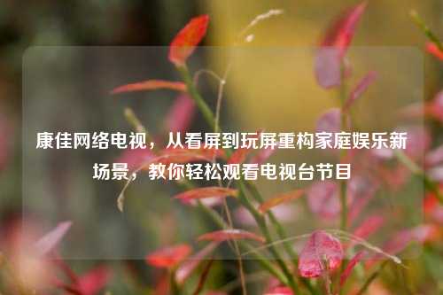 康佳网络电视，从看屏到玩屏重构家庭娱乐新场景，教你轻松观看电视台节目
