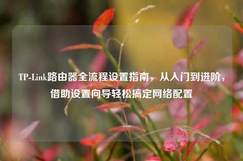TP-Link路由器全流程设置指南,从入门到进阶,借助设置向导轻松搞定网络配置