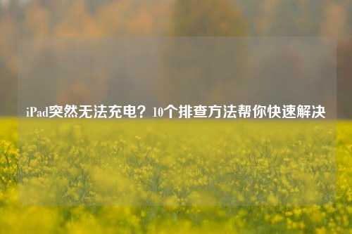 iPad突然无法充电?10个排查方法帮你快速解决