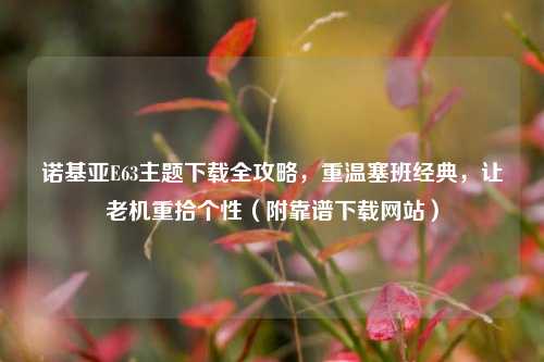诺基亚E63主题下载全攻略,重温塞班经典,让老机重拾个性(附靠谱下载网站)