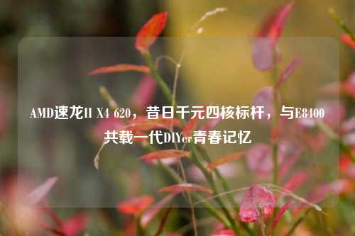 AMD速龙II X4 620，昔日千元四核标杆，与E8400共载一代DIYer青春记忆