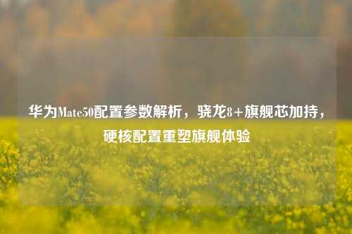 华为Mate50配置参数解析，骁龙8+旗舰芯加持，硬核配置重塑旗舰体验