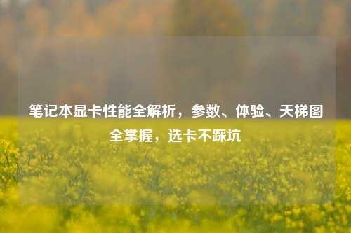 笔记本显卡性能全解析,参数、体验、天梯图全掌握,选卡不踩坑