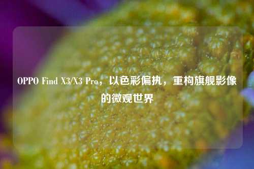 OPPO Find X3/X3 Pro，以色彩偏执，重构旗舰影像的微观世界