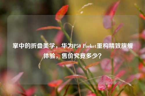 掌中的折叠美学,华为P50 Pocket重构精致旗舰体验,售价究竟多少?