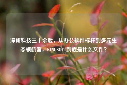 深耕科技三十余载,从办公软件标杆到多元生态领航者,KINGSOFT到底是什么文件?