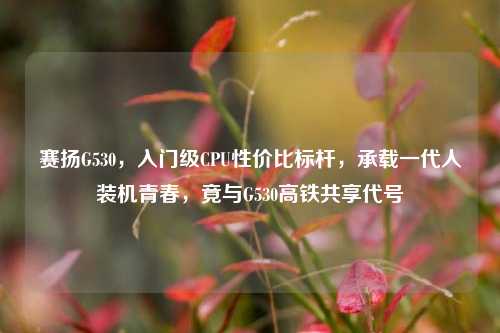 赛扬G530,入门级CPU性价比标杆,承载一代人装机青春,竟与G530高铁共享代号