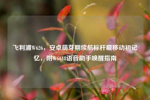 飞利浦W626,安卓萌芽期续航标杆藏移动初记忆,附W6618语音助手唤醒指南
