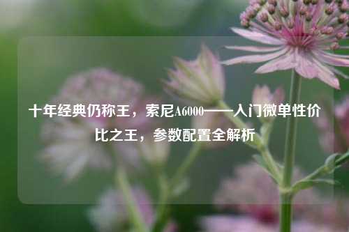 十年经典仍称王,索尼A6000——入门微单性价比之王,参数配置全解析