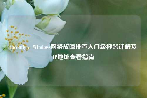 ipconfig，Windows网络故障排查入门级神器详解及IP地址查看指南