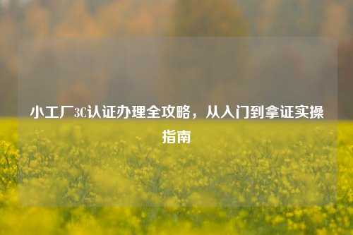 小工厂3C认证办理全攻略，从入门到拿证实操指南