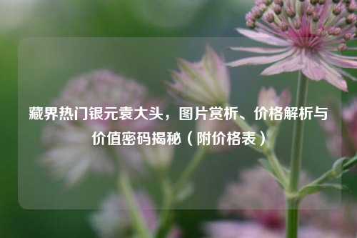 藏界热门银元袁大头，图片赏析、价格解析与价值密码揭秘（附价格表）