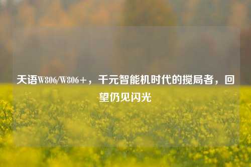 天语W806/W806+,千元智能机时代的搅局者,回望仍见闪光