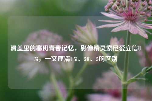 滑盖里的塞班青春记忆,影像精灵索尼爱立信U5i,一文厘清U5i、5R、5的区别