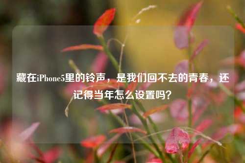 藏在iPhone5里的铃声,是我们回不去的青春,还记得当年怎么设置吗?