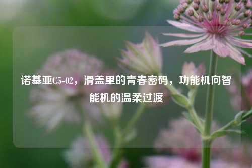 诺基亚C5-02，滑盖里的青春密码，功能机向智能机的温柔过渡