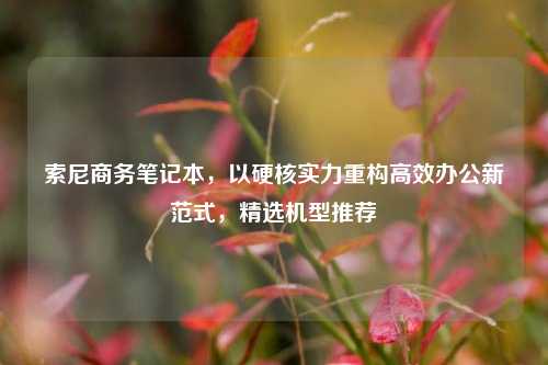 索尼商务笔记本,以硬核实力重构高效办公新范式,精选机型推荐