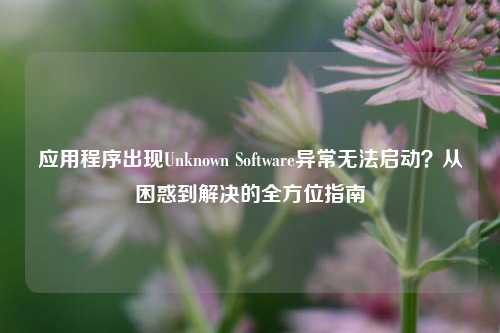应用程序出现Unknown Software异常无法启动？从困惑到解决的全方位指南