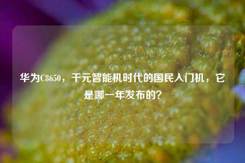 华为C8650,千元智能机时代的国民入门机,它是哪一年发布的?