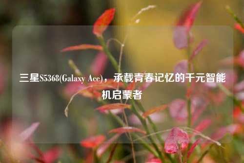 三星S5368(Galaxy Ace)，承载青春记忆的千元智能机启蒙者