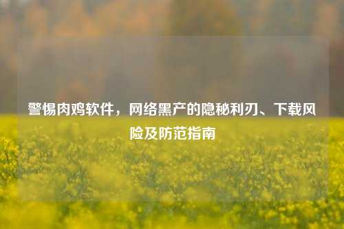 警惕肉鸡软件,网络黑产的隐秘利刃、下载风险及防范指南