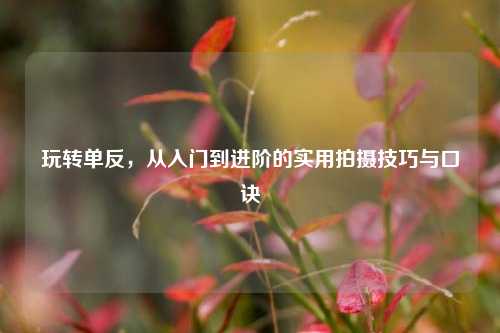 玩转单反,从入门到进阶的实用拍摄技巧与口诀