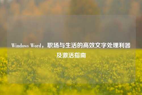 Windows Word，职场与生活的高效文字处理利器及激活指南