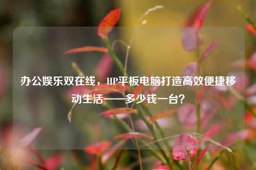 办公娱乐双在线,HP平板电脑打造高效便捷移动生活——多少钱一台?